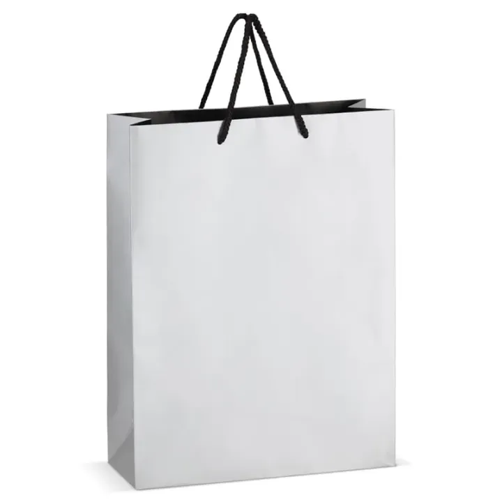 FSC Paper gift bag 30 x 12 x 40cm 200g/m² - LT91517 (N0005)